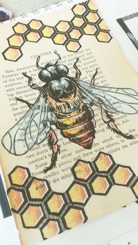 Featured image of post Bees Art Drawing