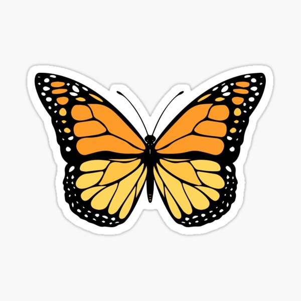 Featured image of post Brandy Melville Butterfly Png