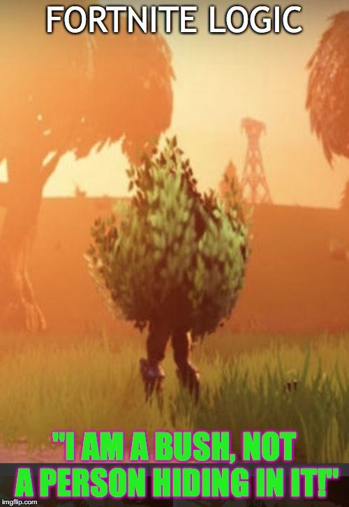 Featured image of post Bush Memes Fortnite