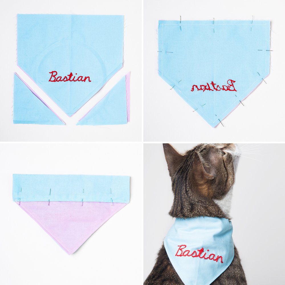 Featured image of post Cat Bandana Collar Pattern