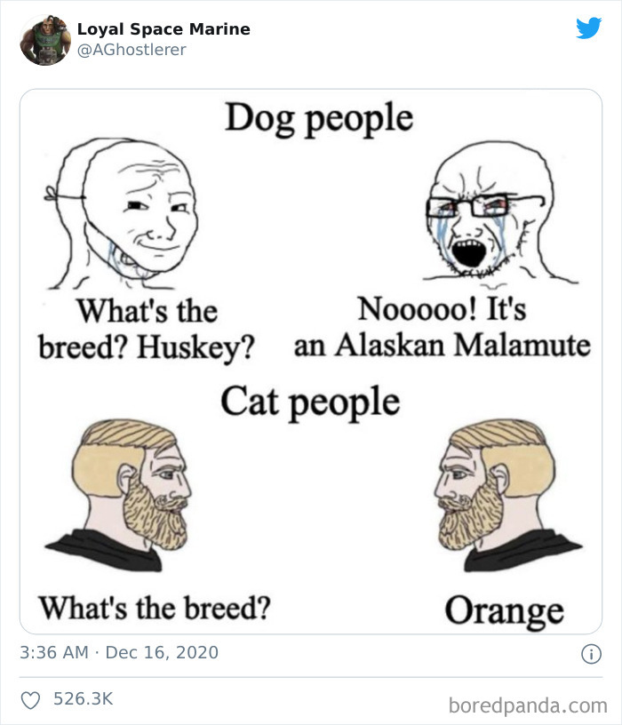 Featured image of post Cat People Vs Dog People Meme