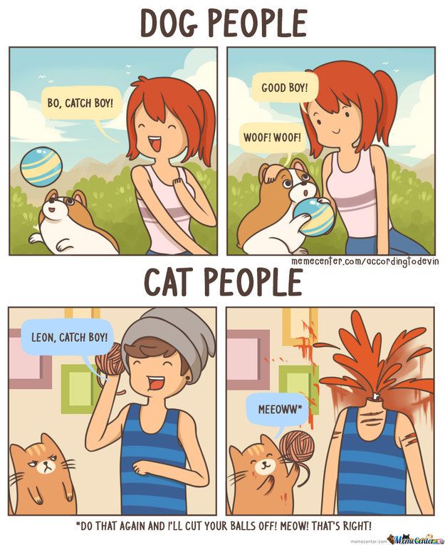 Featured image of post Cat Person Vs Dog Person Meme