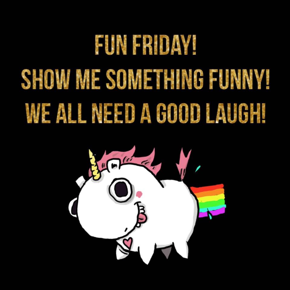 Featured image of post Fun Friday Show Me Something Funny