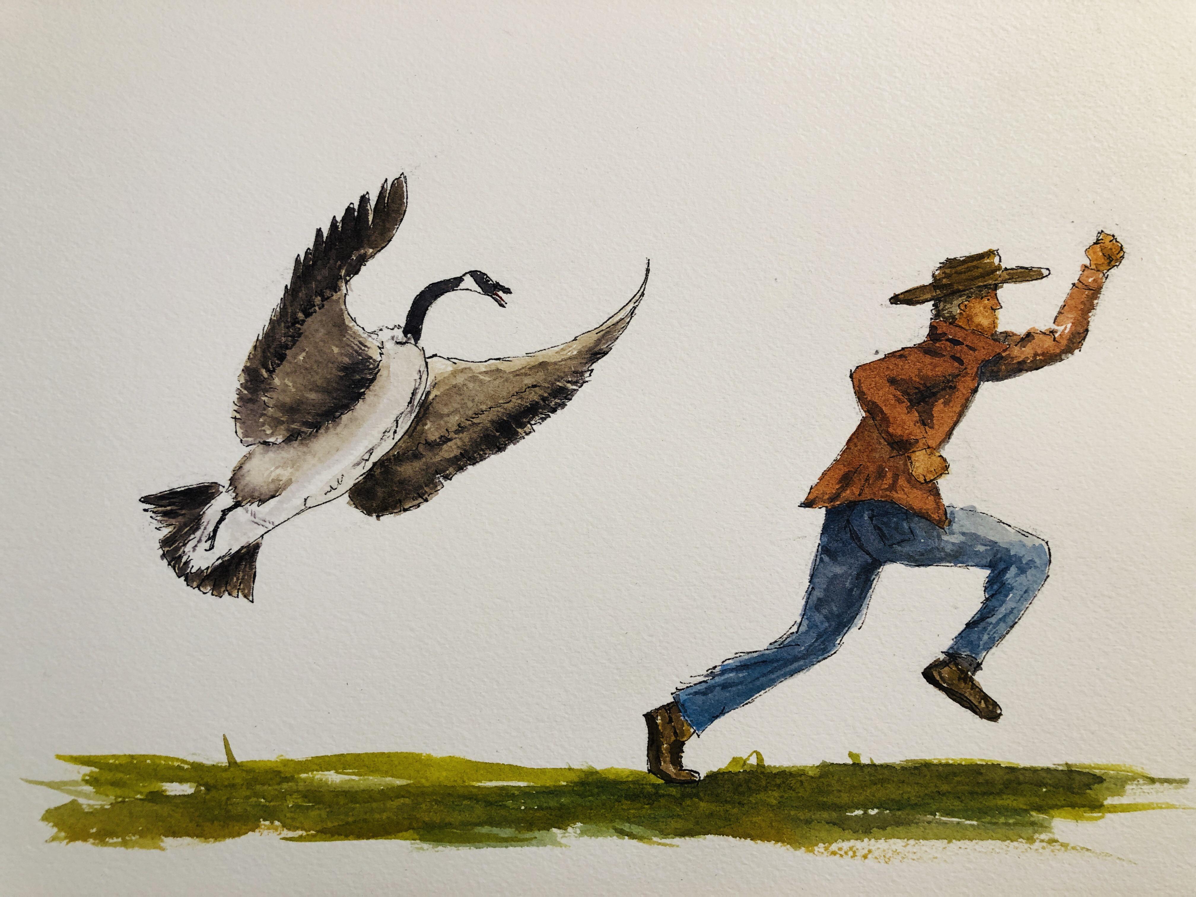 Featured image of post Goose Attack Drawing