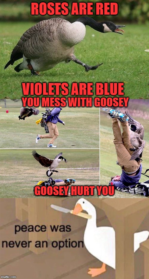 Featured image of post Goose Attack Meme