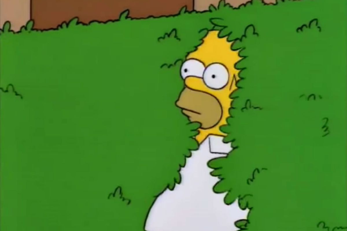 Featured image of post Homer Simpson Bush Meme